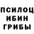 Псилоцибиновые грибы Psilocybe _Miscord_