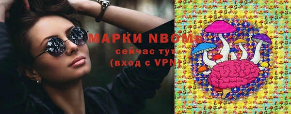 сатива Кукмор
